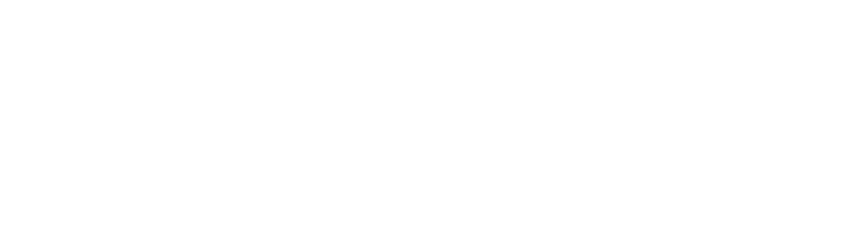 Foreign Trade Zhycron